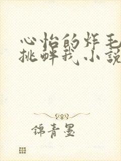 心怡的炸毛校霸挑衅我小说在线阅读