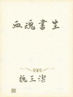 血魂书生