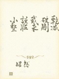 小说武破乾坤完整版未删减小说封面