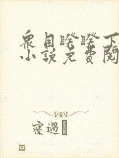 众目睽睽下的事小说免费阅读笔趣阁封面