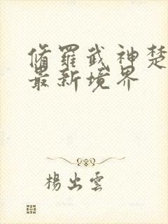 修罗武神楚枫的最新境界