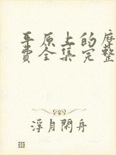 平原上的摩西免费全集完整版封面