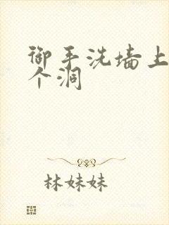 御手洗墙上破了个洞封面