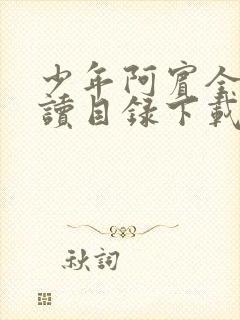 少年阿宾全文阅读目录下载封面