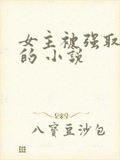 女主被强取豪夺的 小说封面
