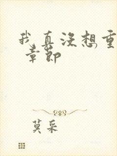 我真没想重生啊 章节封面