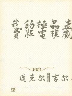 我的极品老婆免费版电视剧第二季