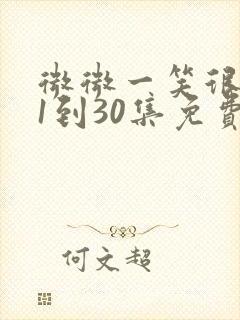 微微一笑很倾城1到30集免费