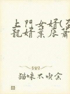 上门女婿(至尊龙婿叶辰萧初然)