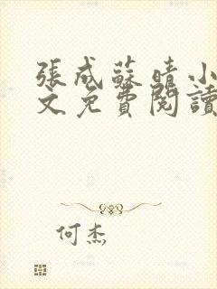 张成苏晴小说全文免费阅读封面