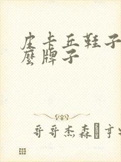 皮卡丘鞋子是什么牌子