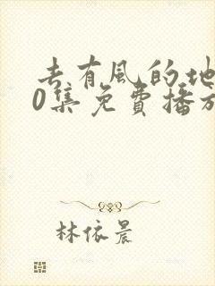 去有风的地方40集免费播放电视剧