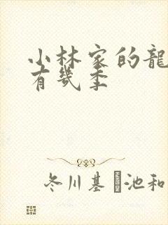 小林家的龙女仆有几季