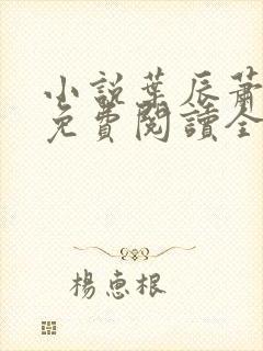 小说叶辰萧初然免费阅读全文封面