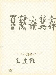 罗铮小说全文免费阅读无弹窗封面