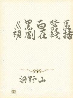 《黑白禁区》电视剧在线播放