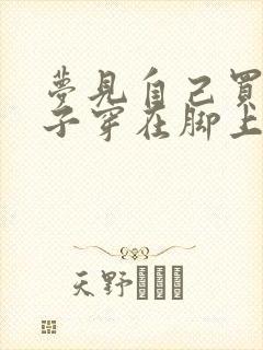 梦见自己买新鞋子穿在脚上