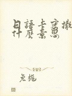 日语卡密撒嘛是什么意思