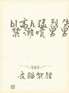 bl高h猛烈失禁潮喷男男