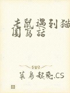 老鼠遇到猫的看图写话