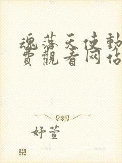 魂落天使动漫免费观看网站