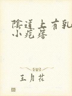 阴道上有乳头状小疙瘩