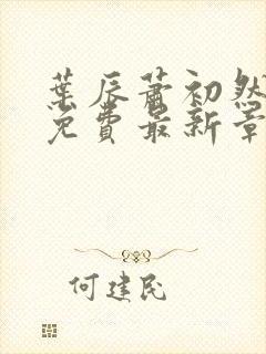 叶辰萧初然全文免费最新章节