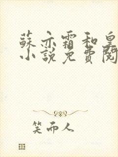 苏亦霜和皇上的小说免费阅读全文