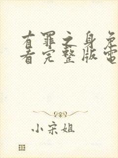 有罪之身免费观看完整版电视剧高清下载封面