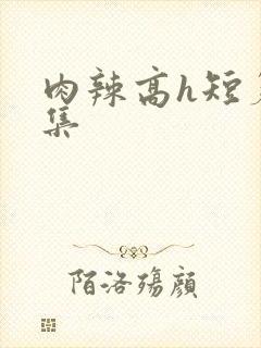 肉辣高h短篇合集封面