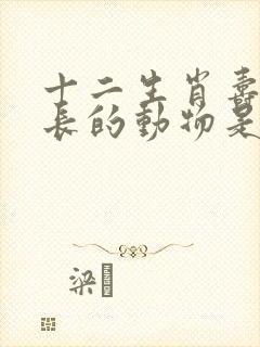 十二生肖寿命最长的动物是什么生肖