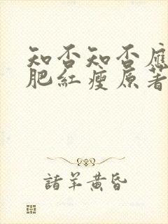 知否知否应是绿肥红瘦原著小说名字