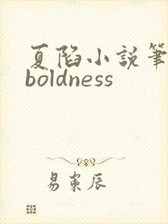夏陷小说笔趣阁boldness