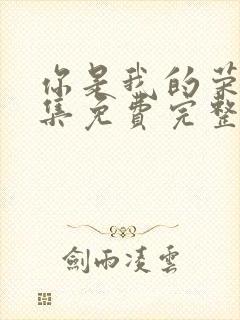 你是我的荣耀全集免费完整版