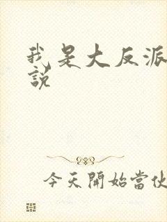 我是大反派 小说