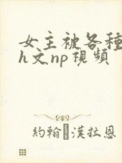 女主被各种调教h文np视频