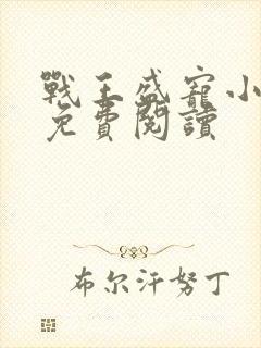 战王盛宠小医妃免费阅读