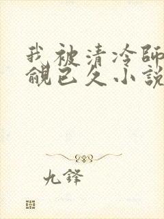 我被清冷师兄觊觎已久小说免费阅读空余恨