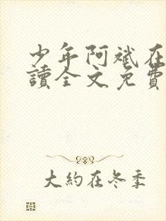 少年阿斌在线阅读全文免费阅读最新小说