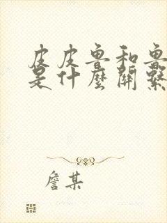 皮皮鲁和鲁西西是什么关系