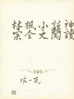 林枫小说神霄剑宗全文阅读封面