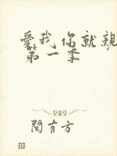 爱我你就亲亲我 第一季封面