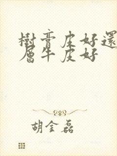 树膏皮好还是头层牛皮好