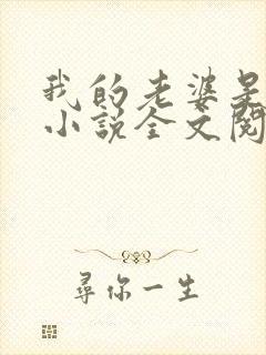 我的老婆是苏玥小说全文阅读