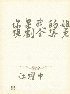 你是我的姐妹电视剧全集免费观看完整版