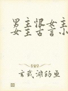 男主恨女主报复女主古言小说