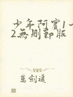 少年阿宾1～72无删节版