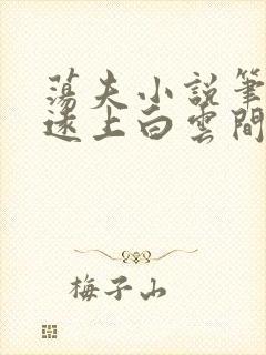 荡夫小说笔趣阁远上白云间