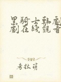 黑骑士韩剧电视剧在线观看全集