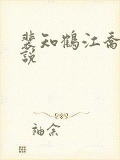 裴知鹤江乔的小说